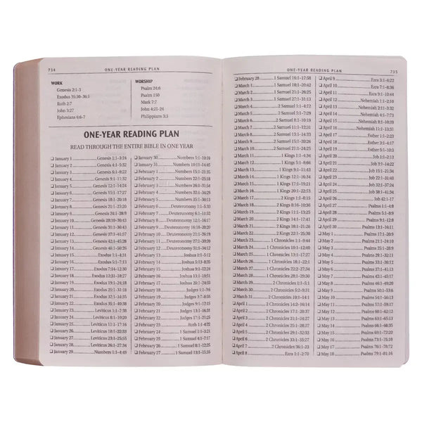 Gold Olive Branch Softcover King James Version Outreach Bible