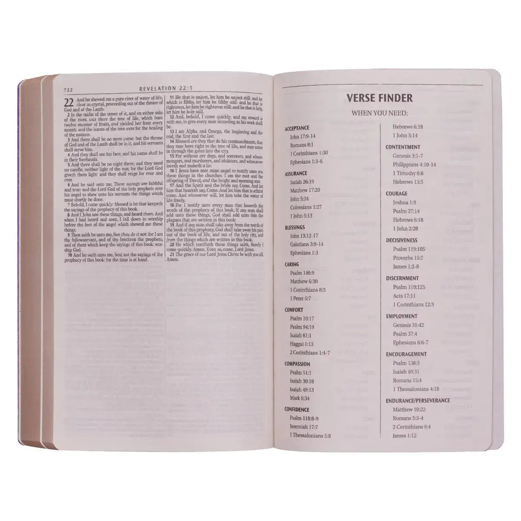Gold Olive Branch Softcover King James Version Outreach Bible