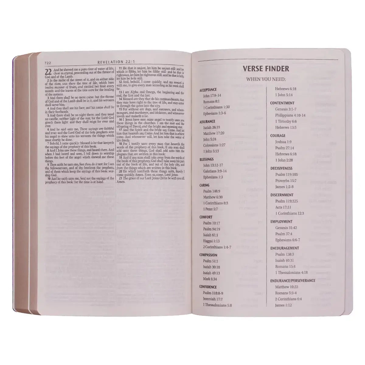 Gold Olive Branch Softcover King James Version Outreach Bible