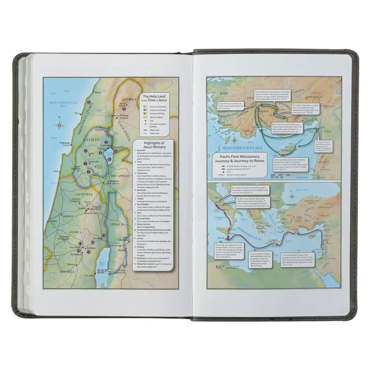 Gray & Black Faux Leather Giant Print Standard-size King James Version Bible with Thumb Index