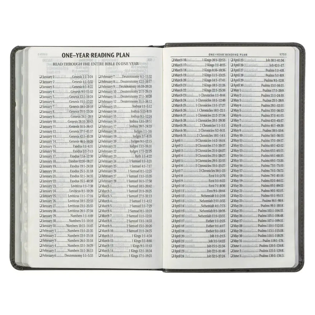 Gray & Black Faux Leather Giant Print Standard-size King James Version Bible with Thumb Index
