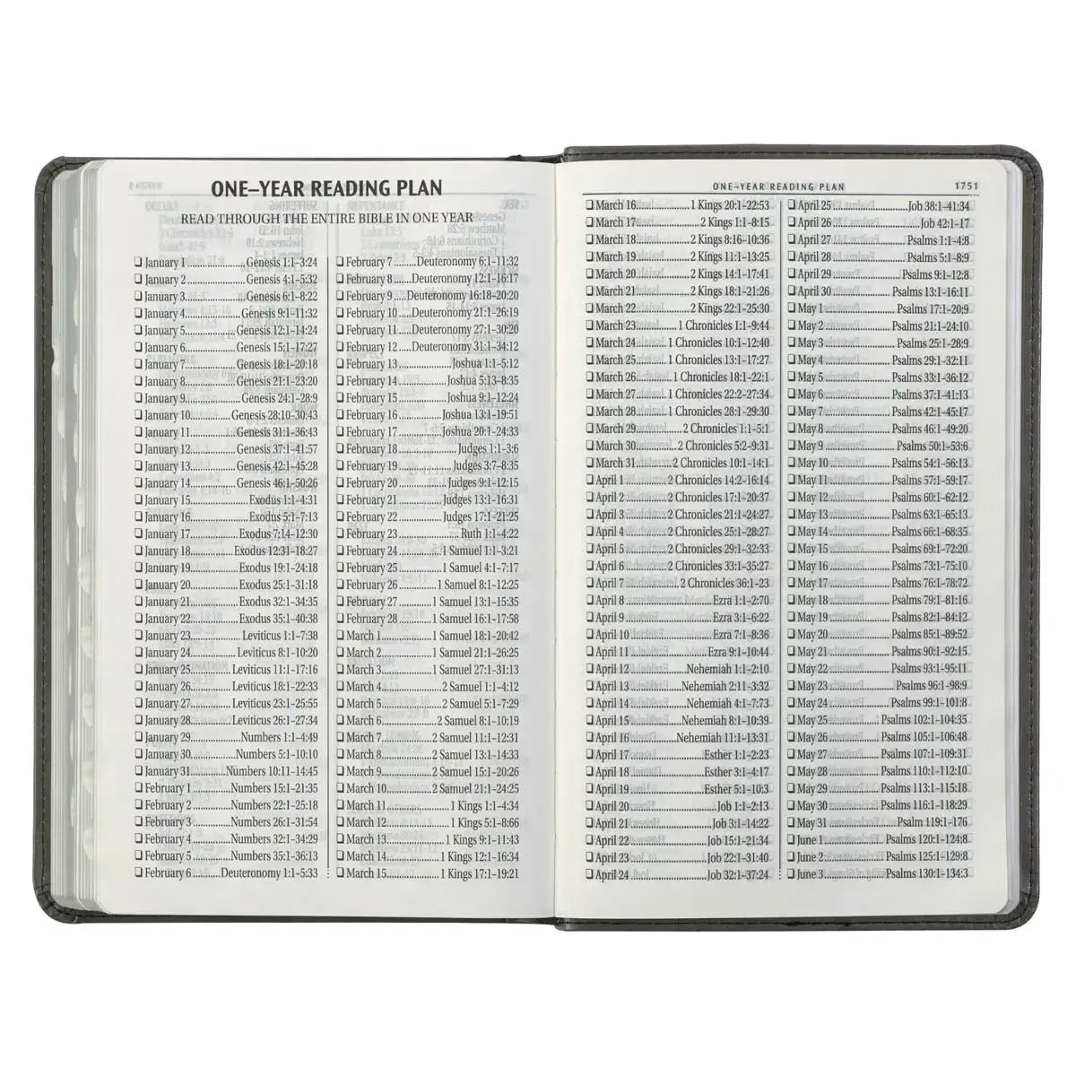 Gray & Black Faux Leather Giant Print Standard-size King James Version Bible with Thumb Index
