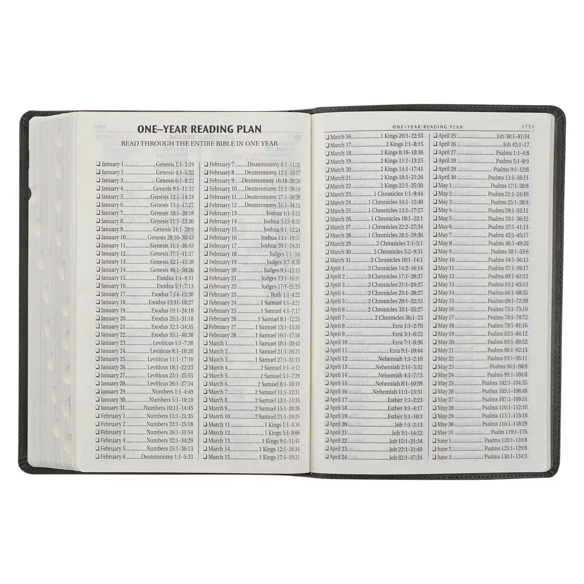 Gray with Black Inlay Faux Leather Super Giant Print King James Version Bible with Thumb Index