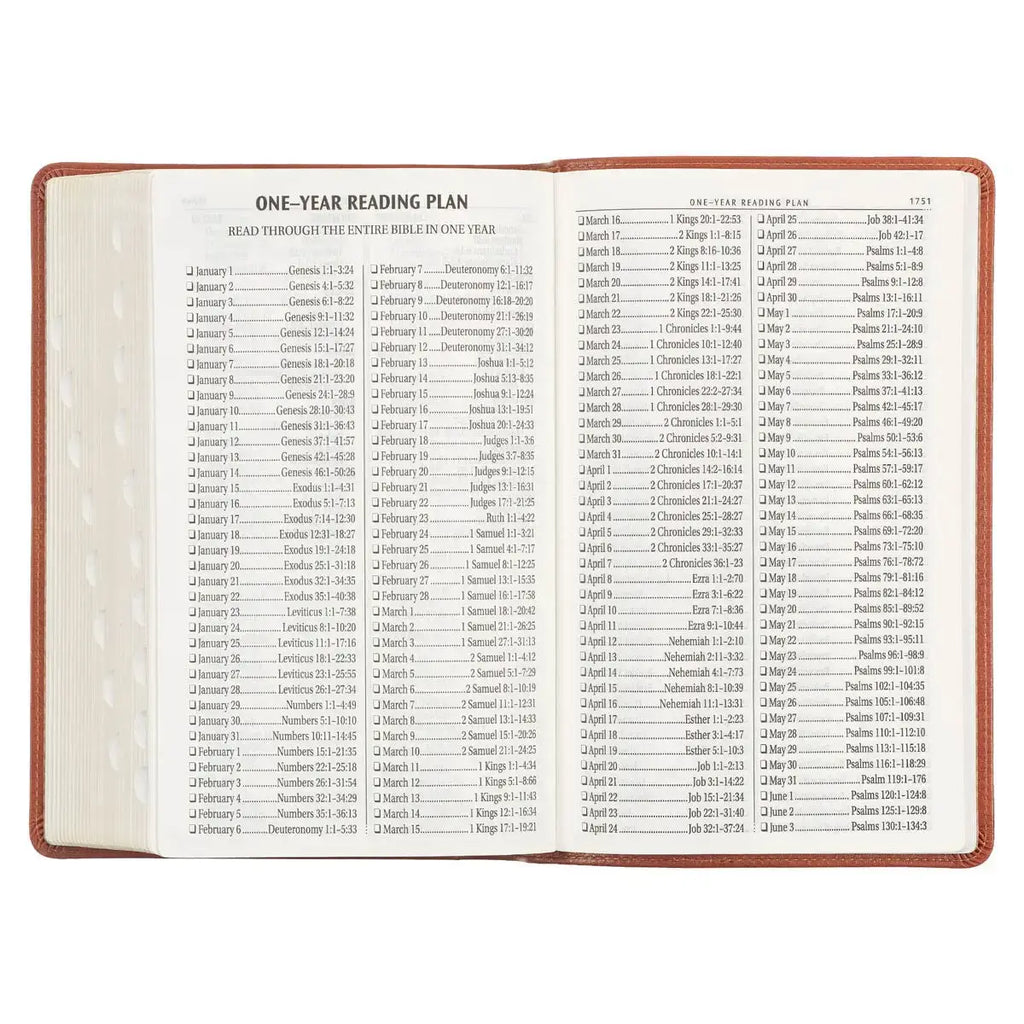 Honey Brown Faux Leather Giant Print Standard-size King James Version Bible with Thumb Index