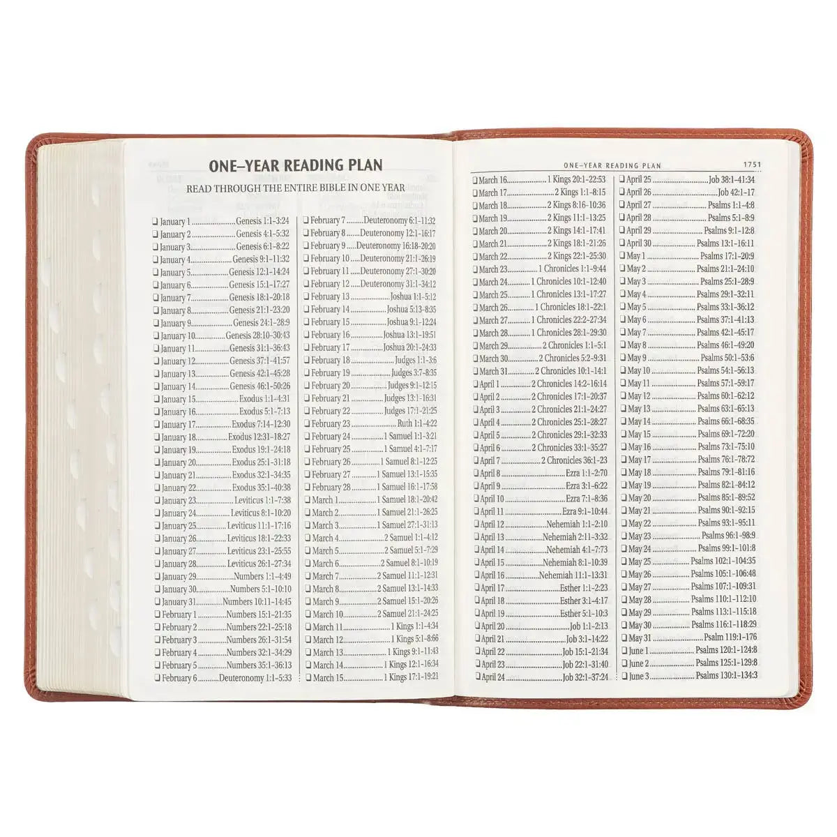 Honey Brown Faux Leather Giant Print Standard-size King James Version Bible with Thumb Index