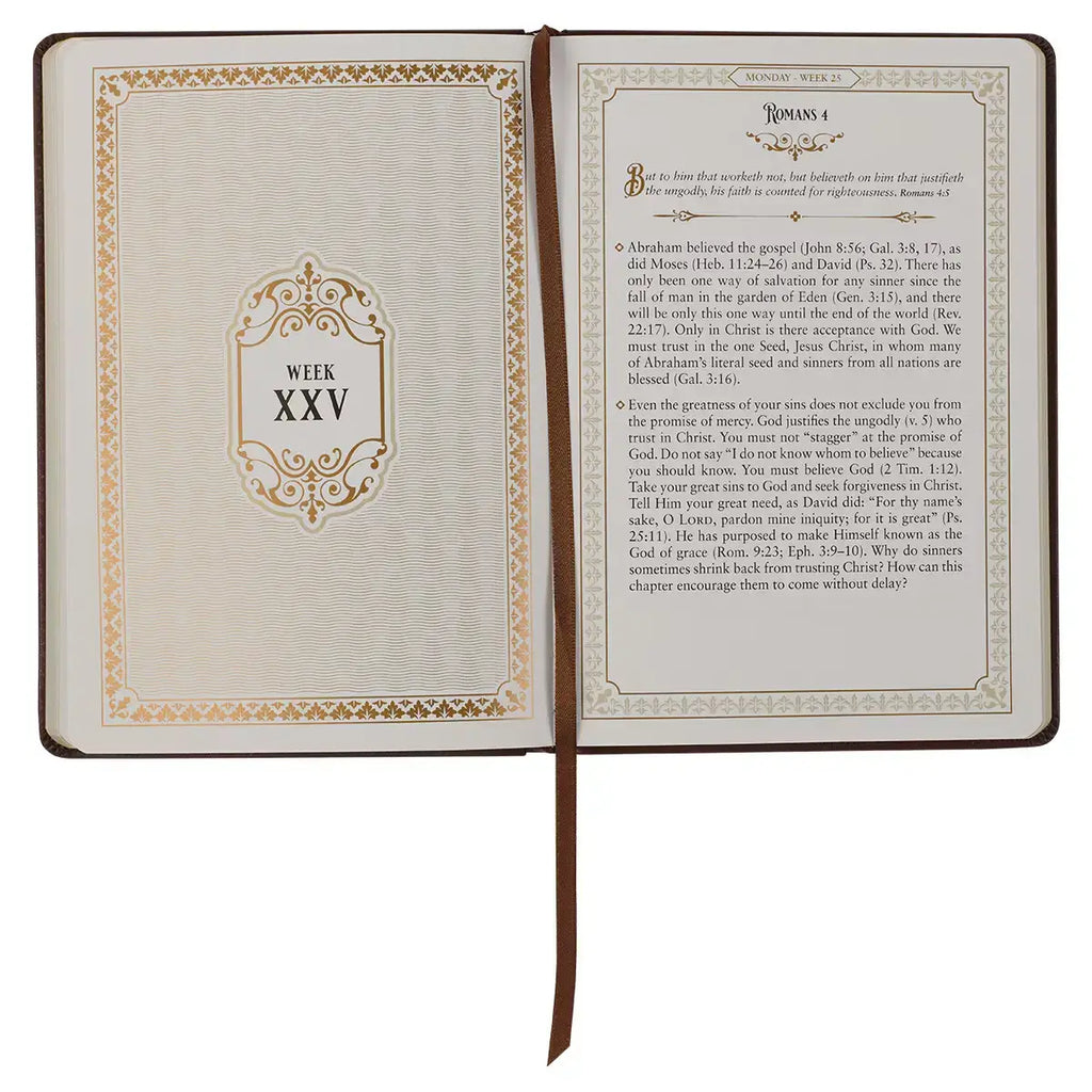Large Print Edition Daily Devotions from the KJV Brown Faux Leather Devotional