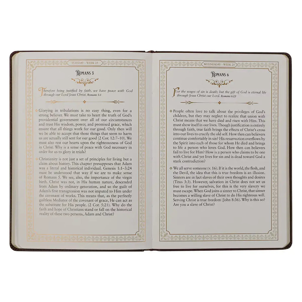 Large Print Edition Daily Devotions from the KJV Brown Faux Leather Devotional