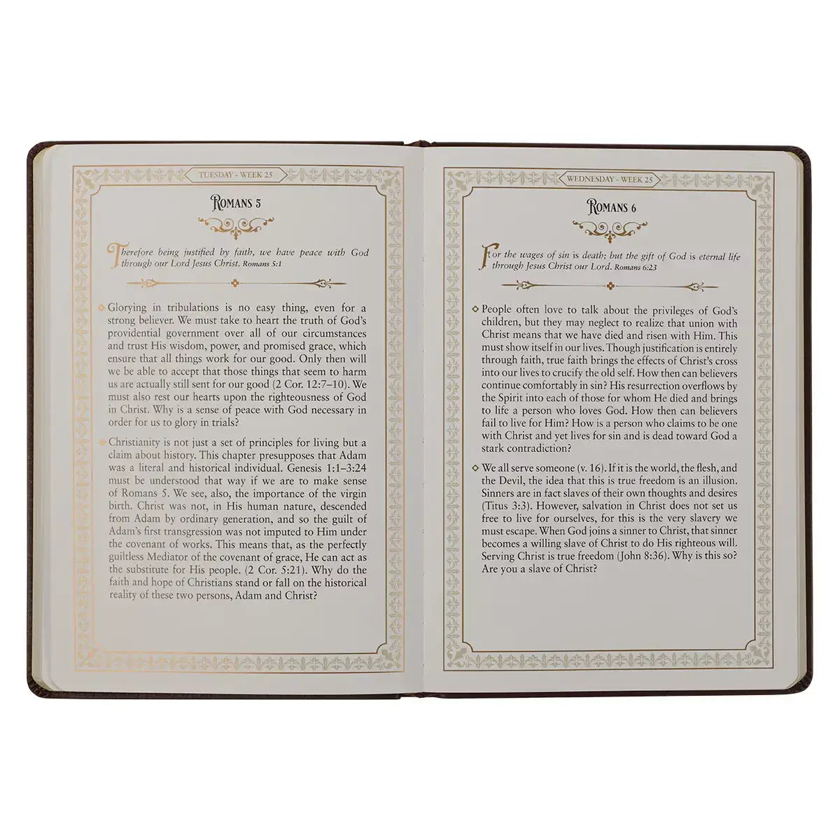 Large Print Edition Daily Devotions from the KJV Brown Faux Leather Devotional