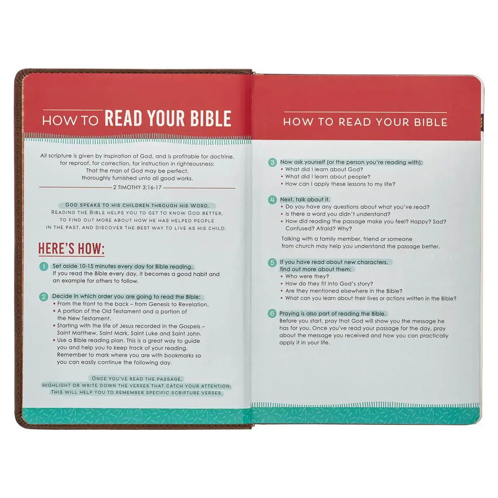 Lion Brown Faux Leather Kid's King James Version Bible
