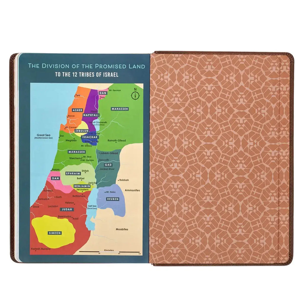 Lion Brown Faux Leather Kid's King James Version Bible