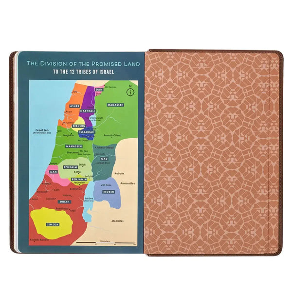 Lion Brown Faux Leather Kid's King James Version Bible