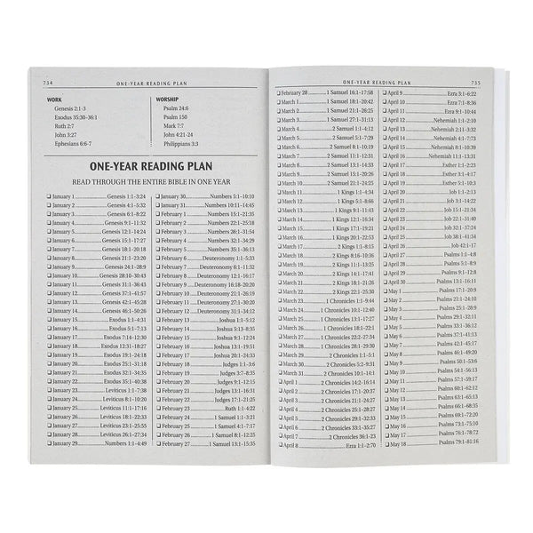 Lion Softcover King James Version Outreach Bible