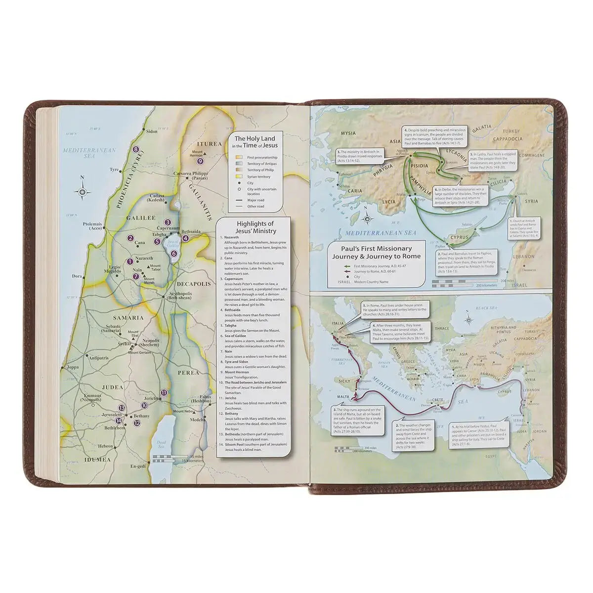 Mahogany Brown Genuine Leather Large Print Compact Bible