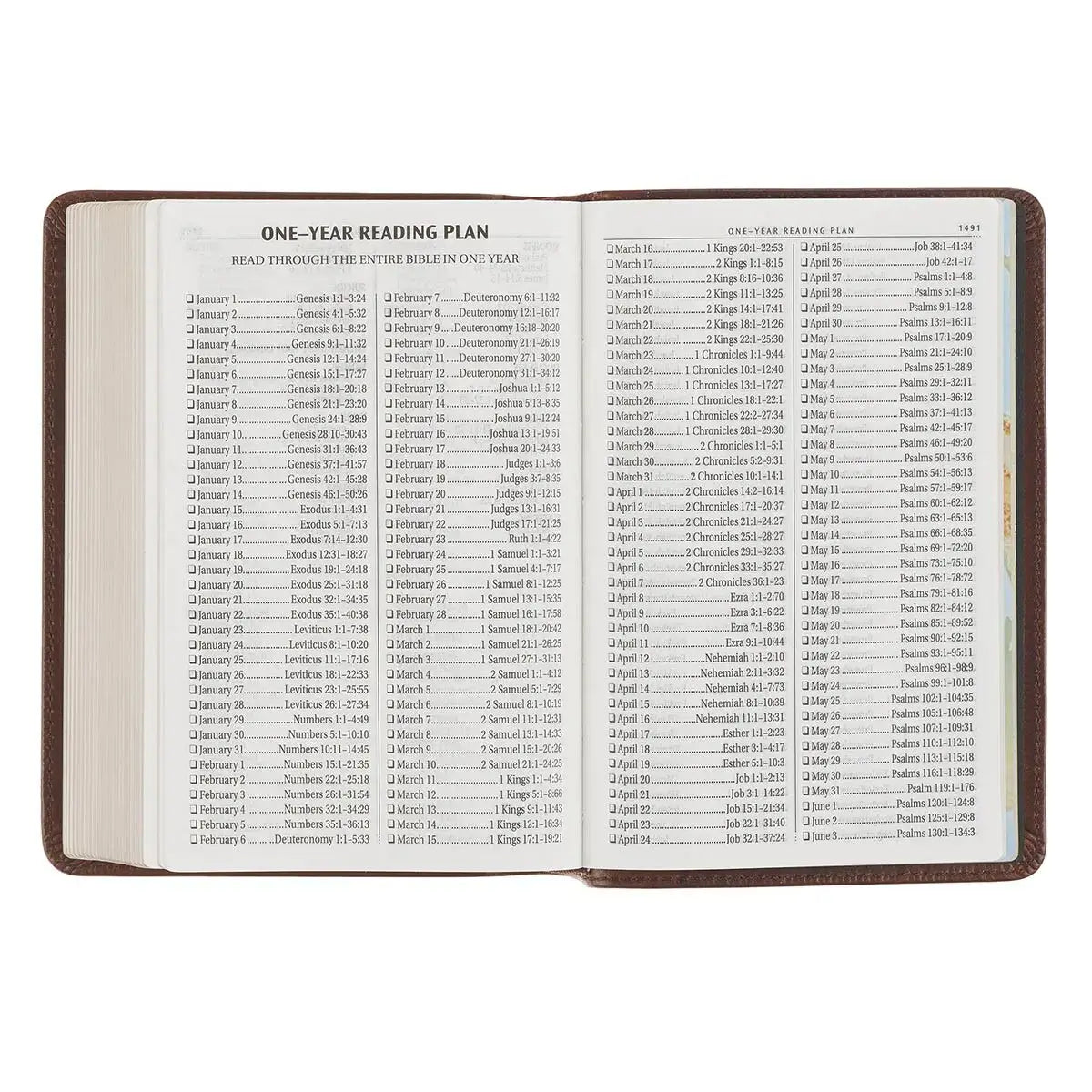 Mahogany Brown Genuine Leather Large Print Compact Bible