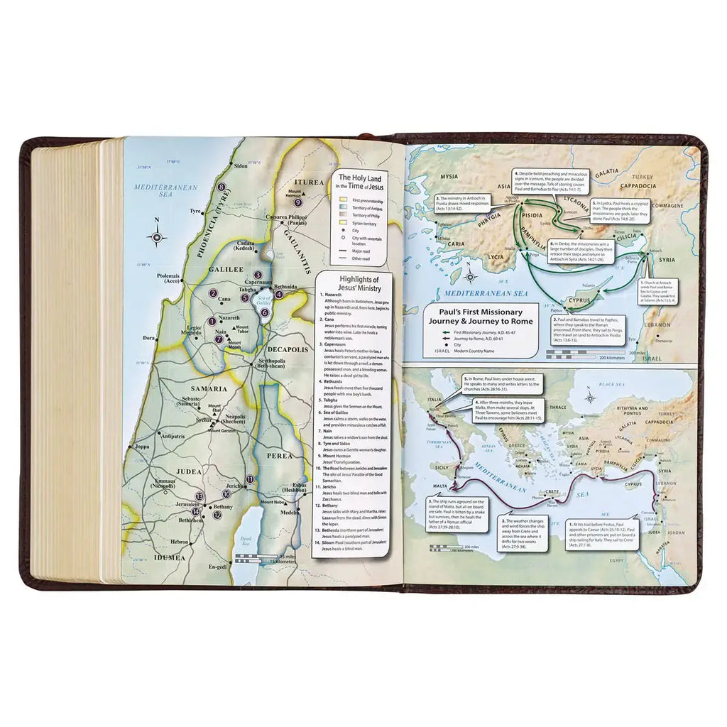 Medium Brown Faux Leather Large Print Compact King James Version Bible