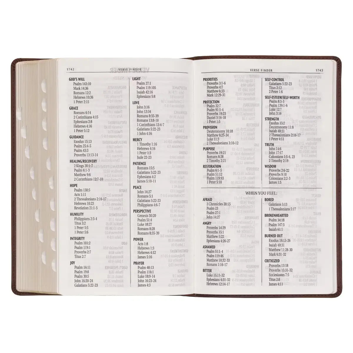 Medium Brown Ivy Faux Leather Giant Print Standard-size King James Version Bible with Thumb Index