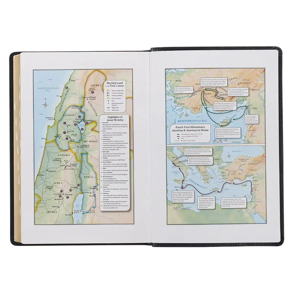 Midnight Blue Art Nouveau Framed Faux Leather Giant Print Full-size King James Version Bible with Thumb Index