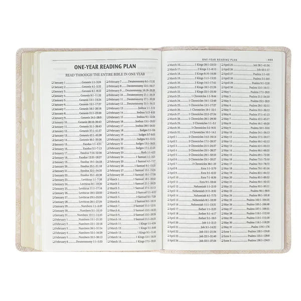 Pale Pink Floral Faux Leather King James Version Deluxe Gift Bible with Thumb Index