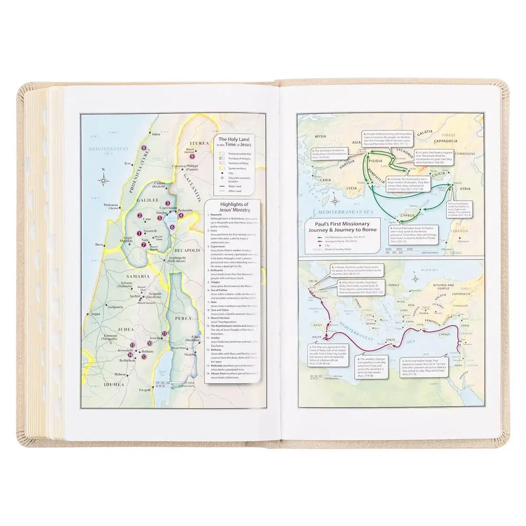Pearlized Ivory Faux Leather King James Version Deluxe Gift Bible with Thumb Index