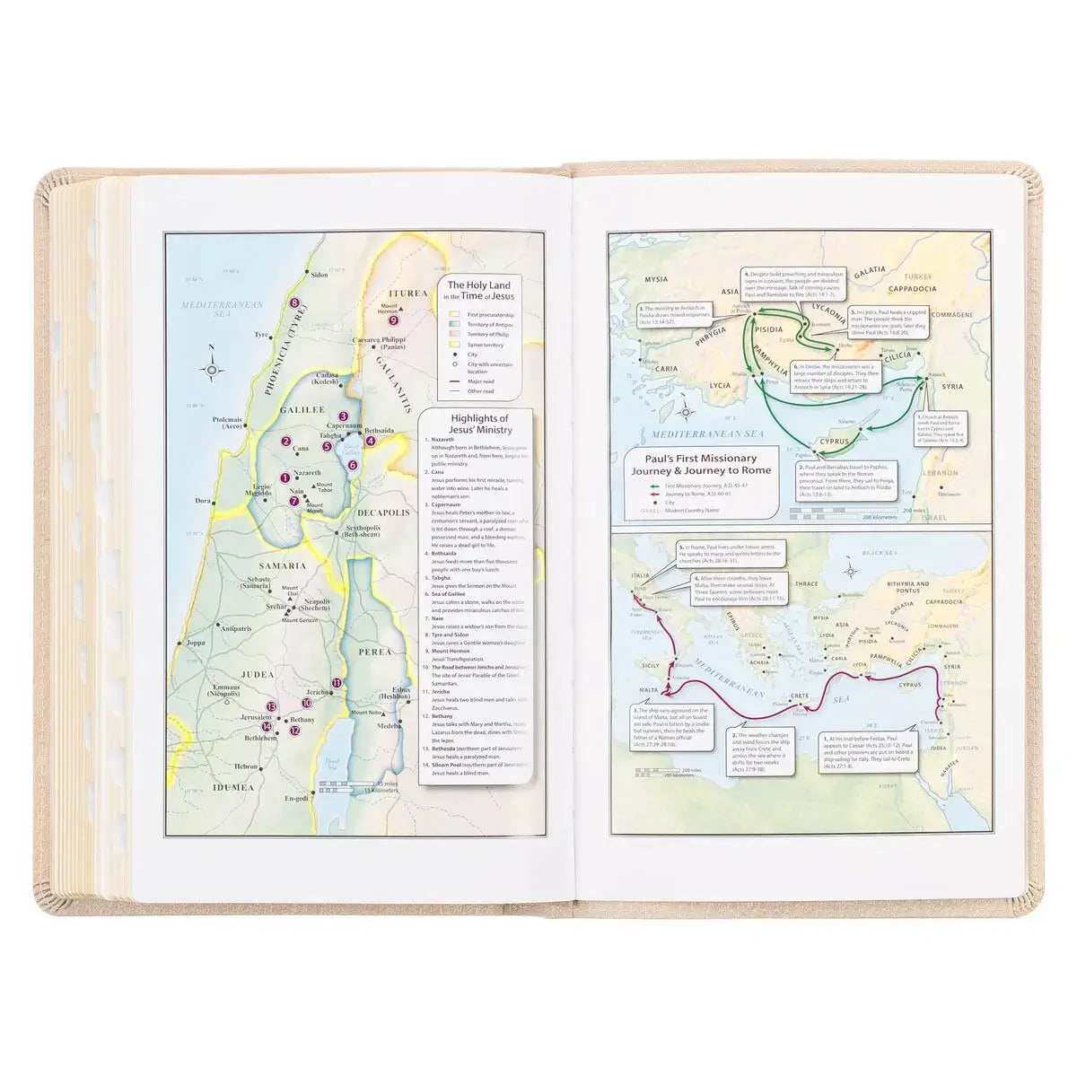 Pearlized Ivory Faux Leather King James Version Deluxe Gift Bible with Thumb Index