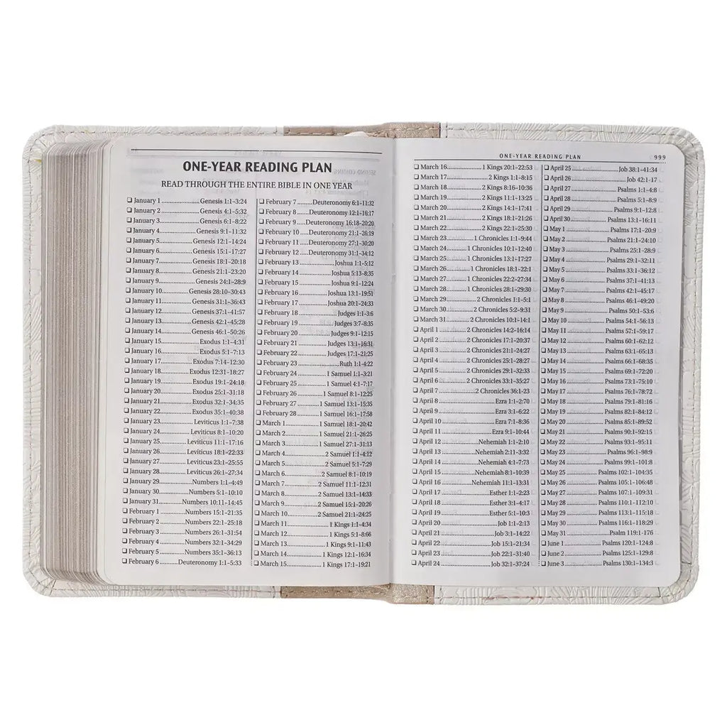 Pearlized White & Taupe Faux Leather King James Version Pocket Bible