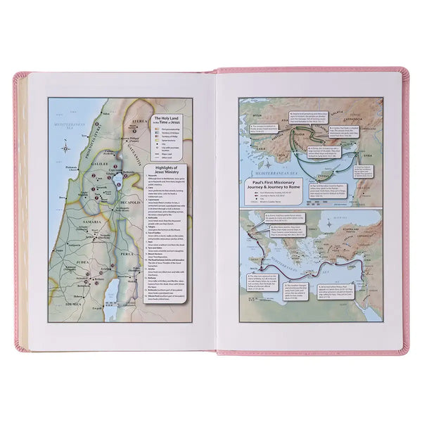 Pink Faux Leather Giant Print Full-size King James Version Bible with Thumb-index