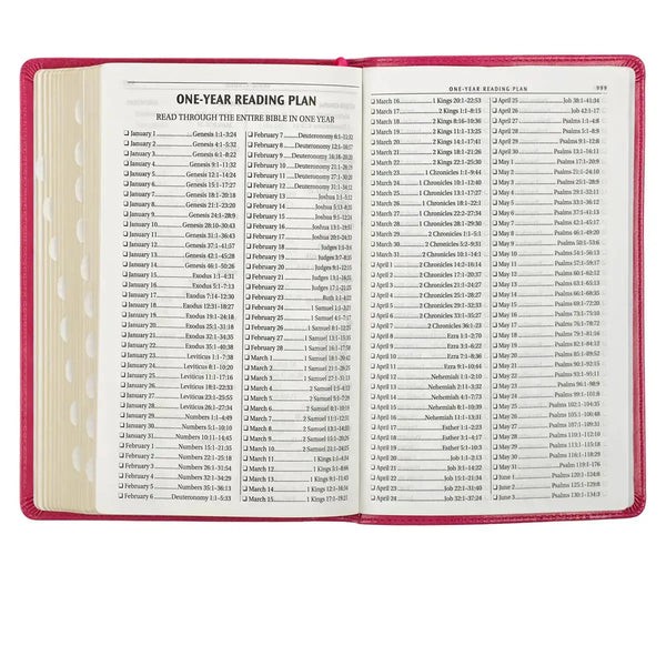 Pink Faux Leather King James Version Deluxe Gift Bible with Thumb Index