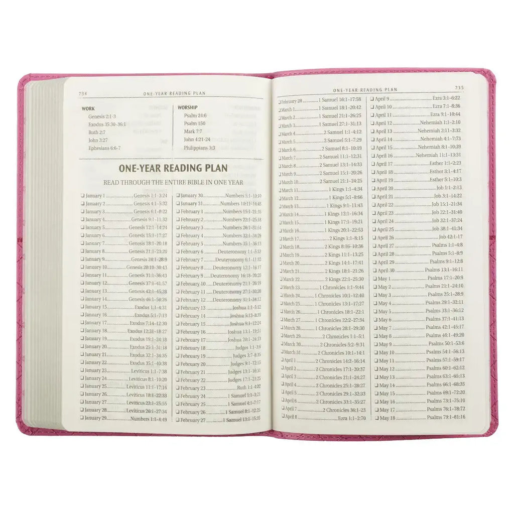 Pink Faux Leather King James Version Gift Edition Bible
