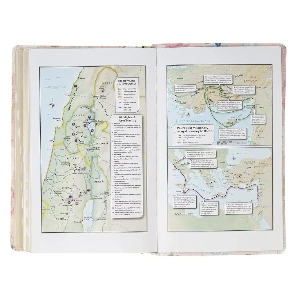 Pink Floral Faux Leather Giant Print Standard-Size King James Version Bible with Thumb Index