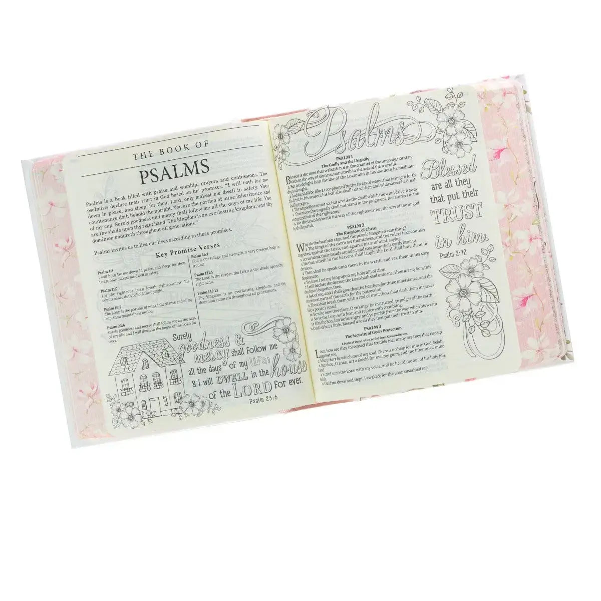 Pink Hardcover KJV My Promise Bible