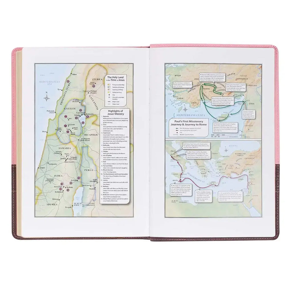 Pink & Brown Large Print Faux Leather Thinline King James Version Bible
