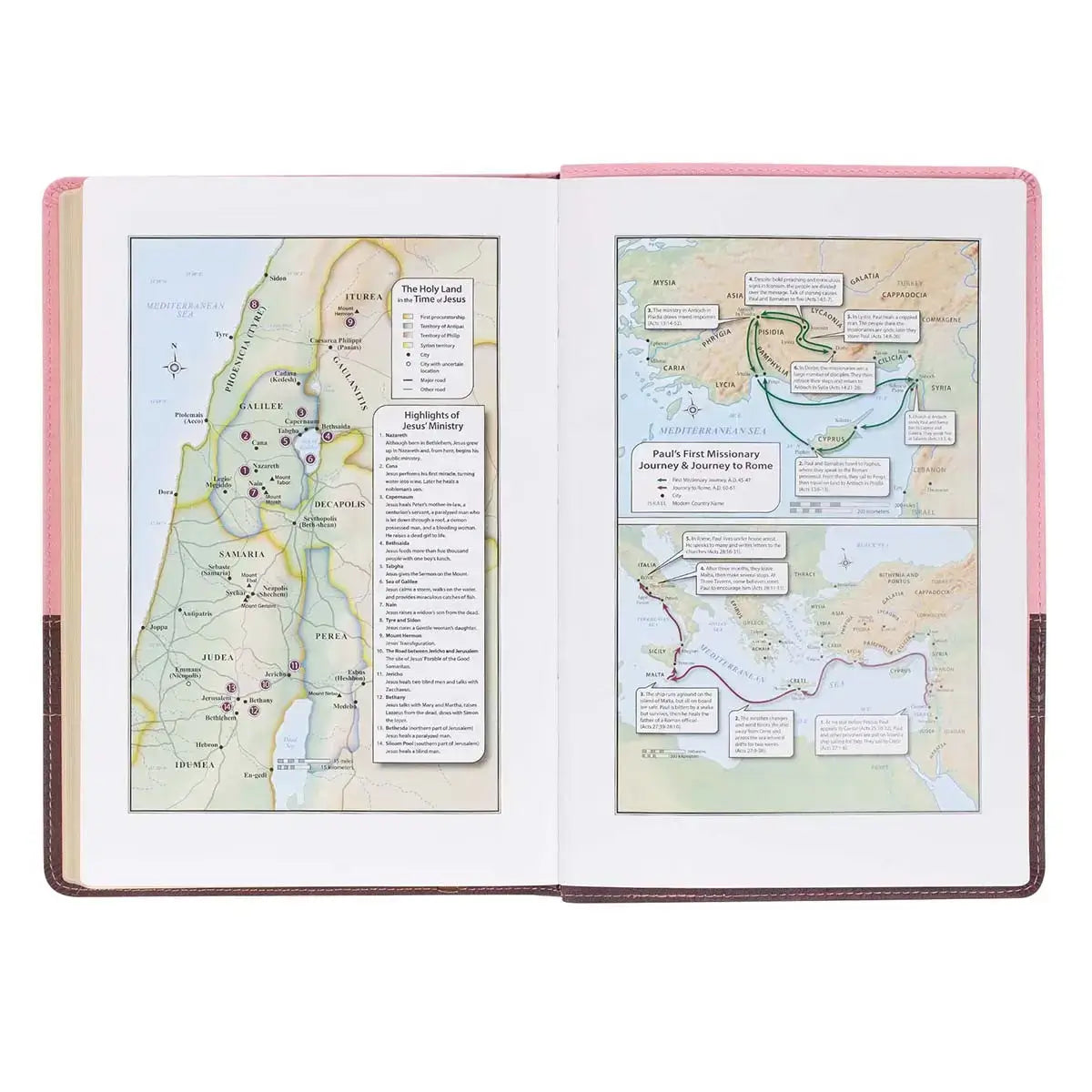 Pink & Brown Large Print Faux Leather Thinline King James Version Bible