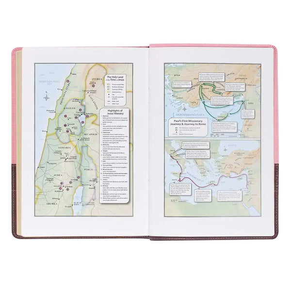 Pink & Brown Large Print Faux Leather Thinline King James Version Bible