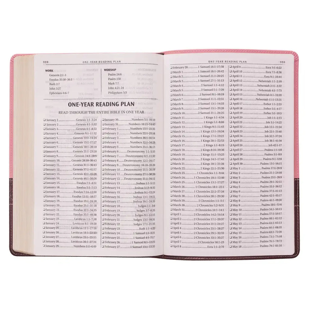 Pink & Brown Large Print Faux Leather Thinline King James Version Bible
