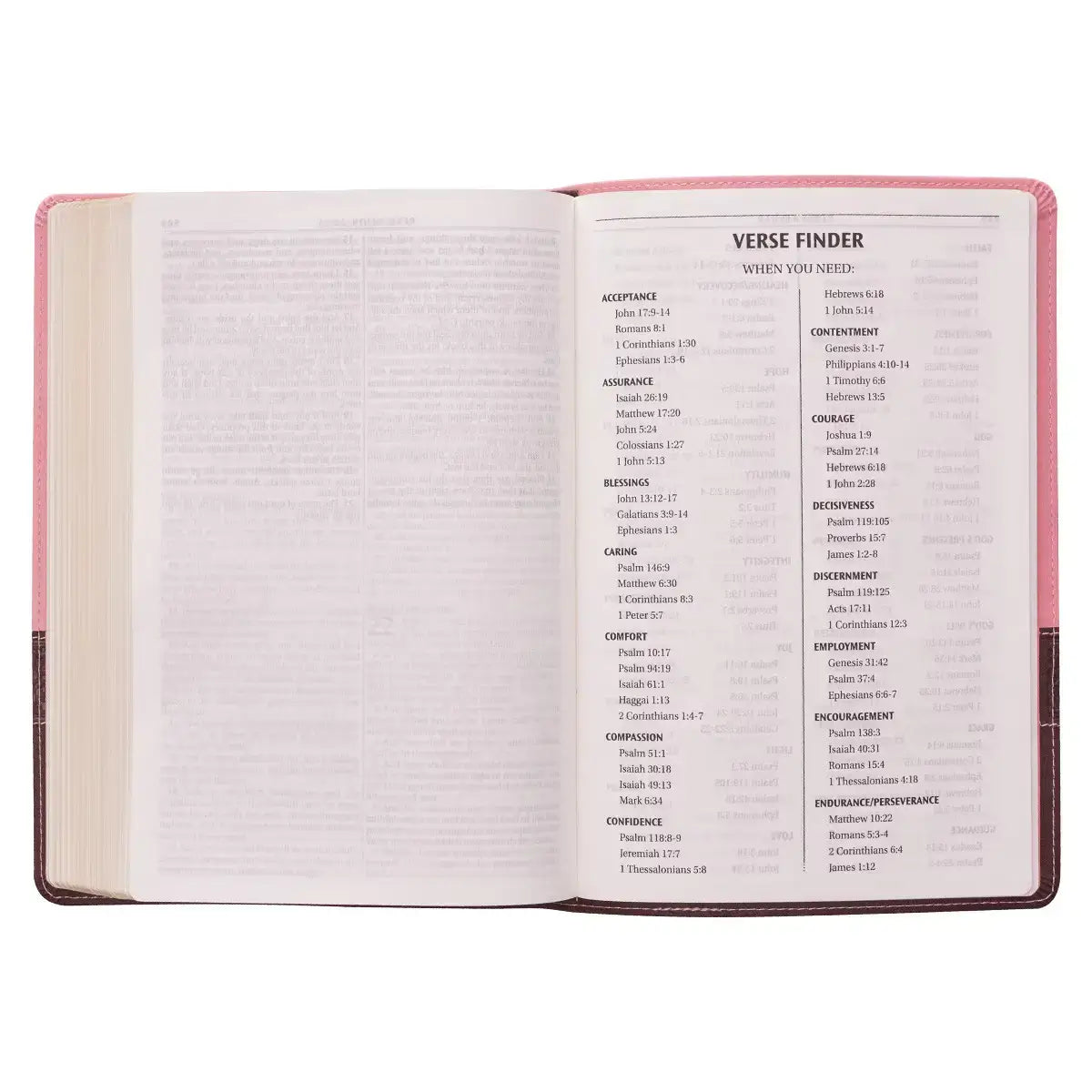 Pink & Brown Large Print Faux Leather Thinline King James Version Bible