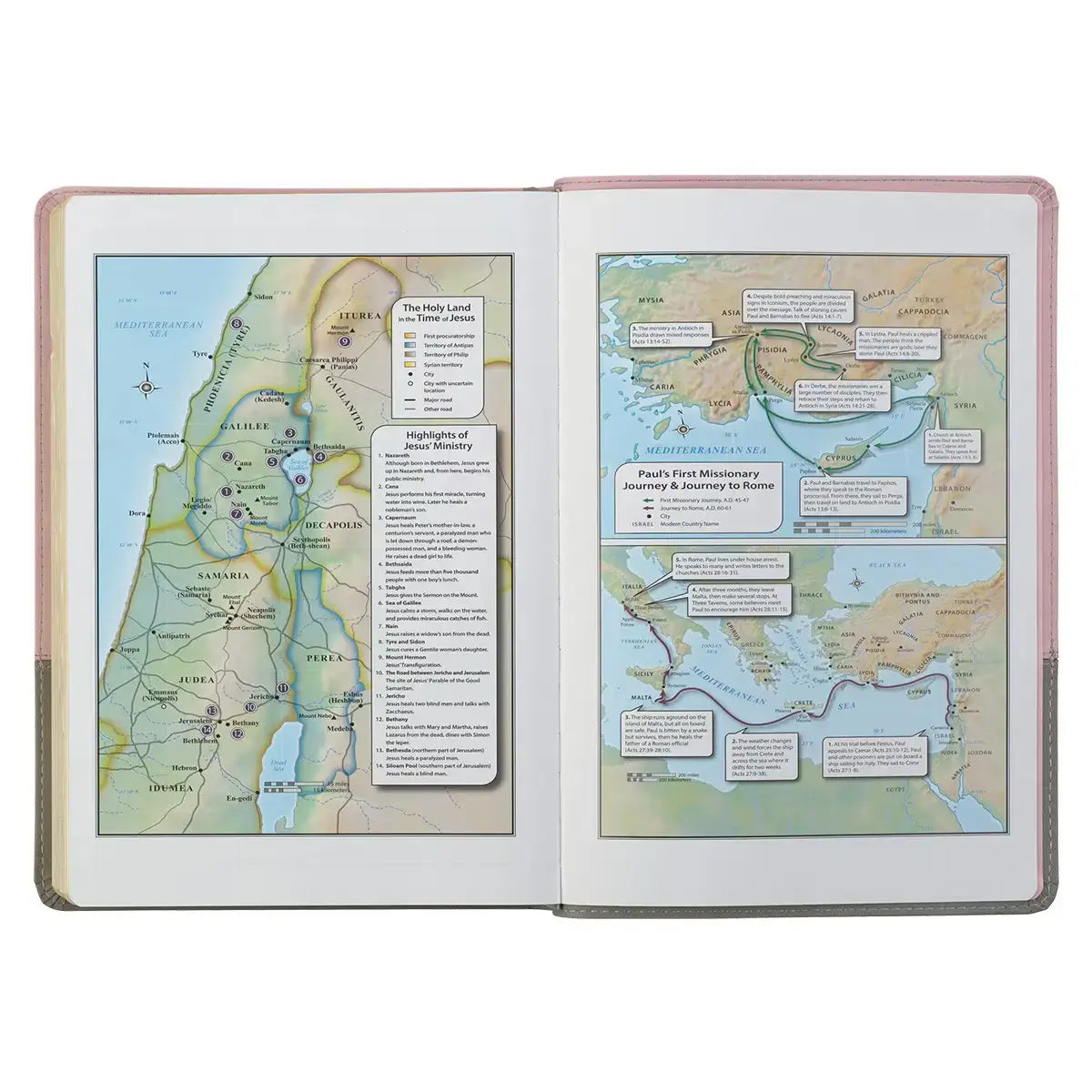 Pink & Gray Faux Leather Super Giant Print Full-size King James Version Bible with Thumb Index
