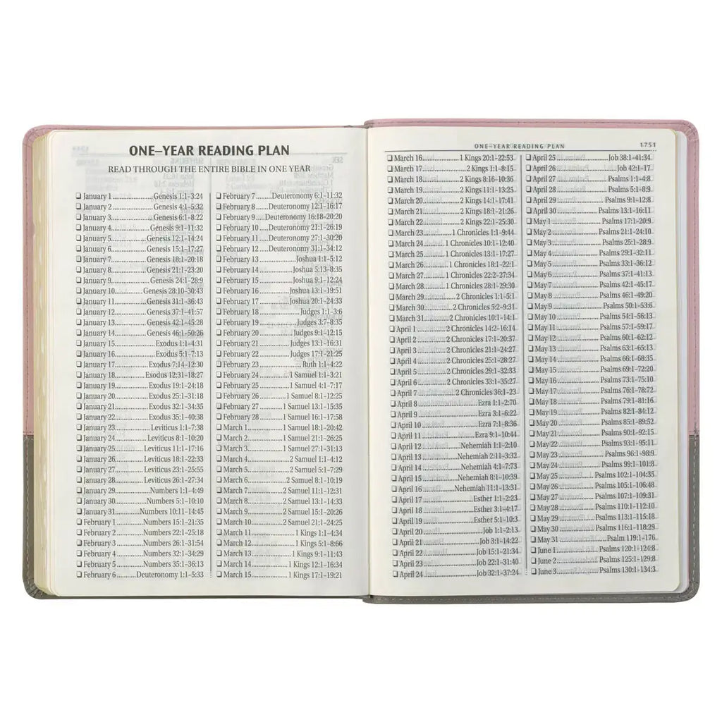 Pink & Gray Faux Leather Super Giant Print Full-size King James Version Bible with Thumb Index