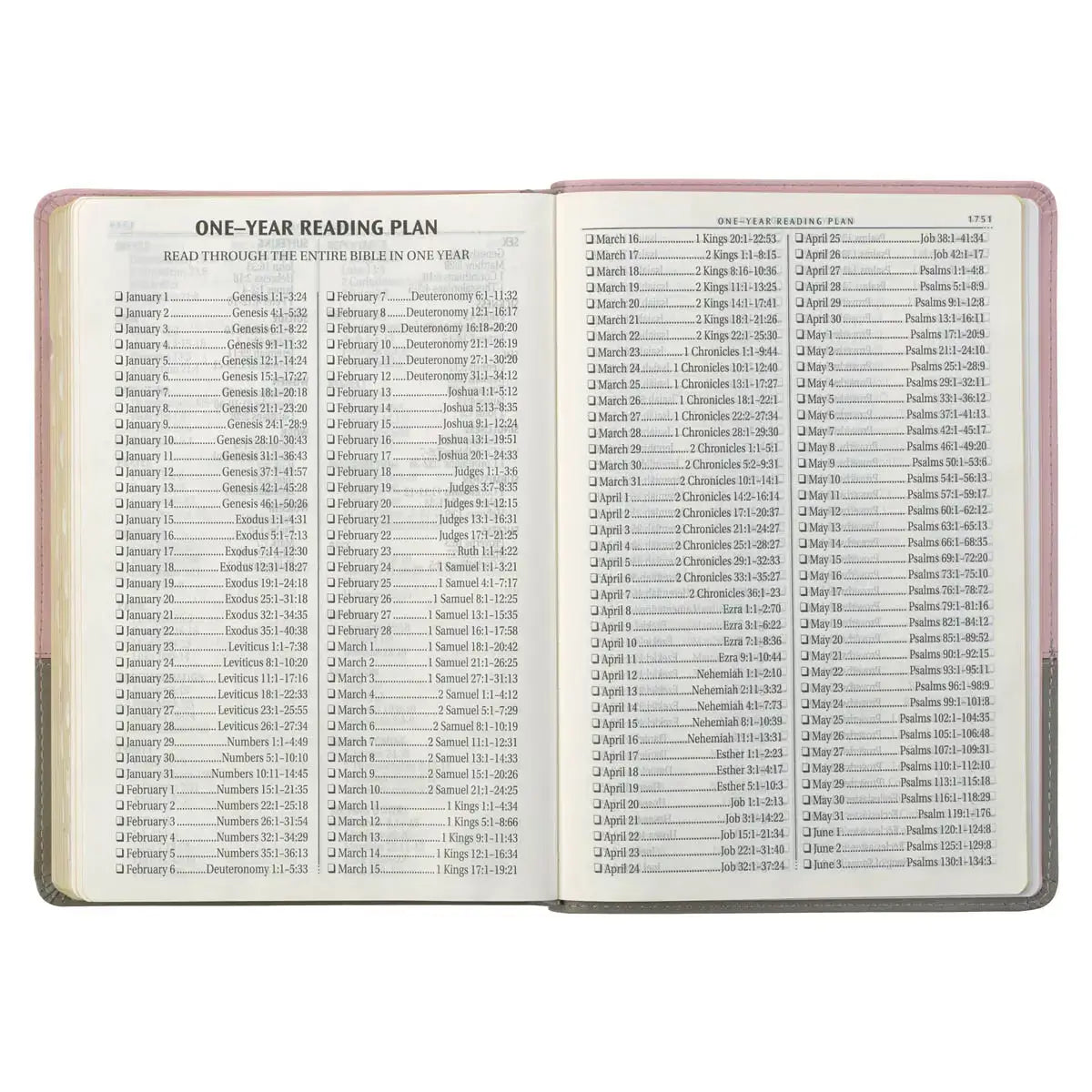 Pink & Gray Faux Leather Super Giant Print Full-size King James Version Bible with Thumb Index