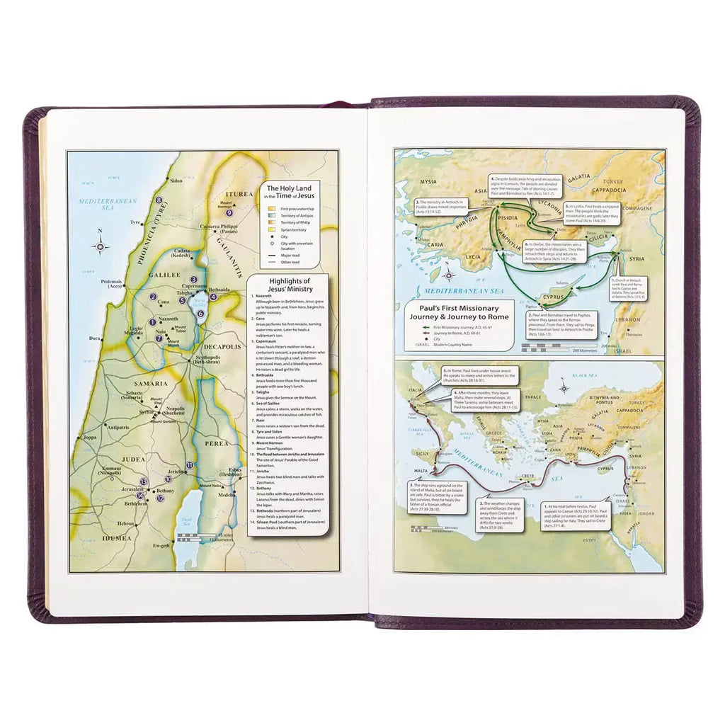 Purple Faux Leather King James Version Deluxe Gift Bible with Thumb Index