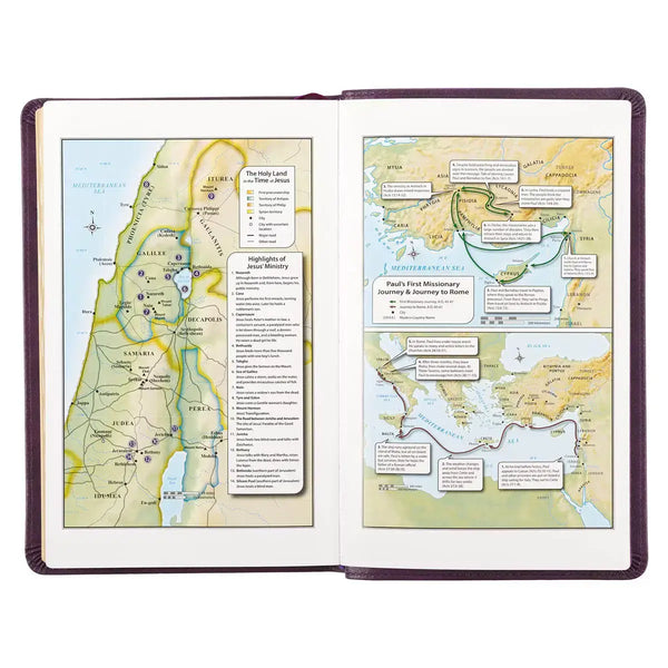 Purple Faux Leather King James Version Deluxe Gift Bible with Thumb Index