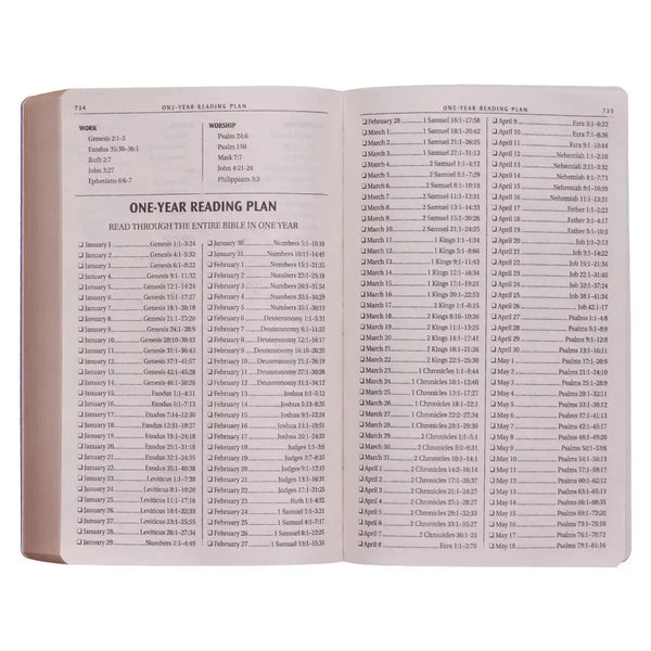Purple Faux Leather King James Version Gift & Award Bible