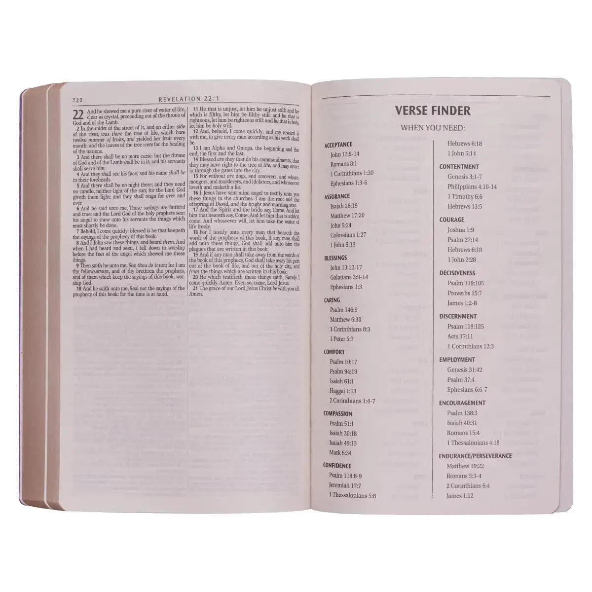 Purple Faux Leather King James Version Gift & Award Bible