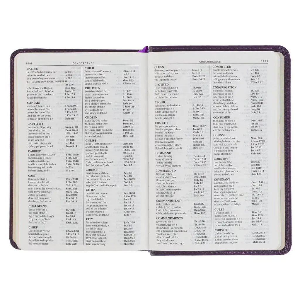 Purple Faux Leather Large Print Compact King James Version Bible