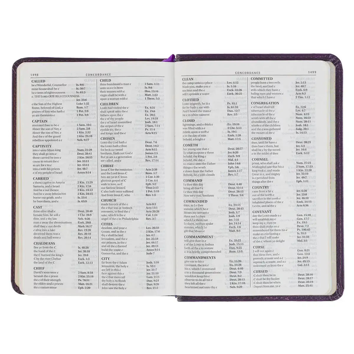 Purple Faux Leather Large Print Compact King James Version Bible