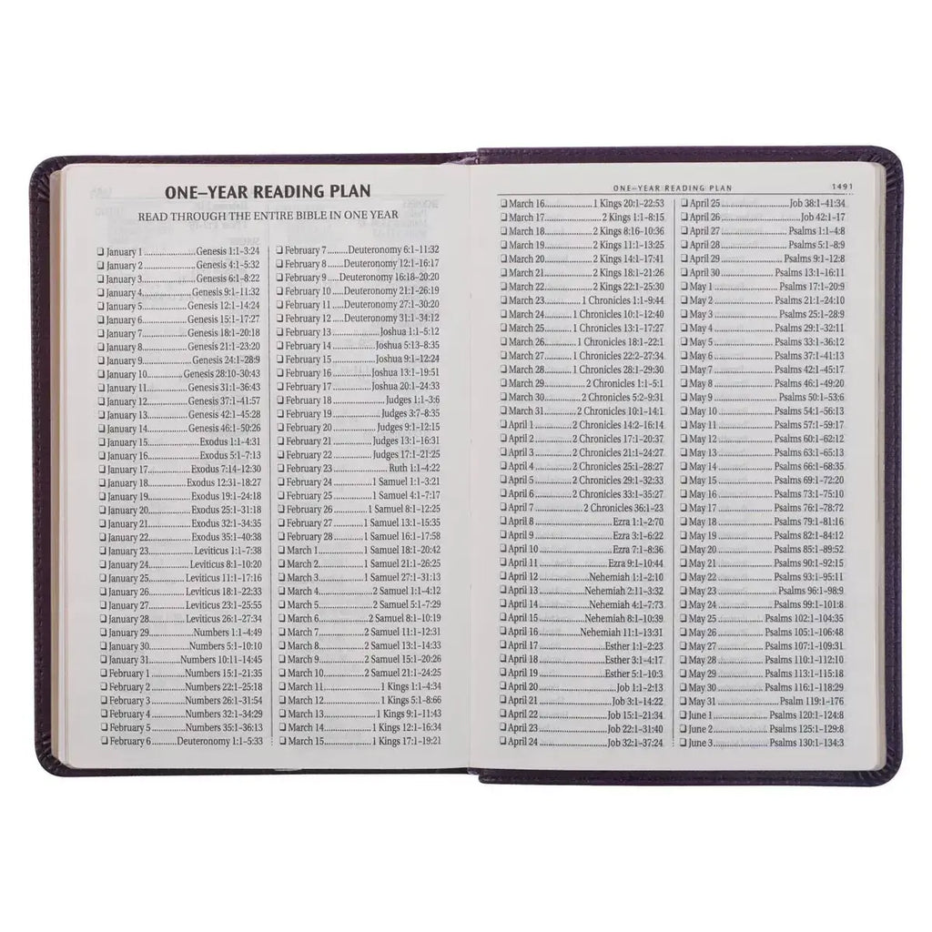 Purple Faux Leather Large Print Compact King James Version Bible