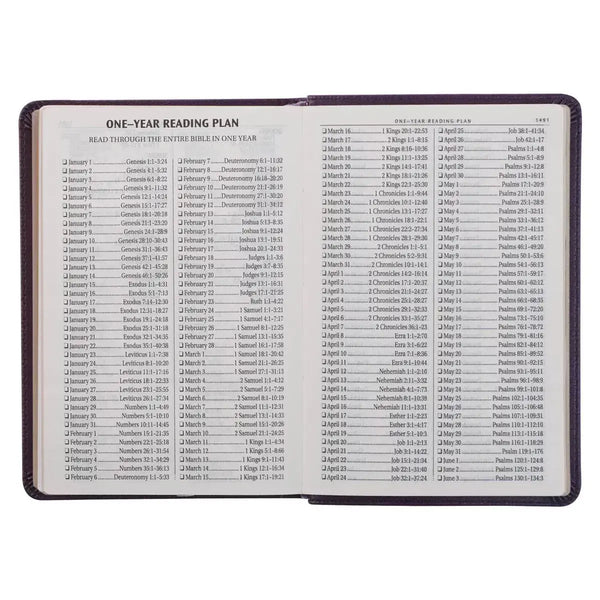 Purple Faux Leather Large Print Compact King James Version Bible