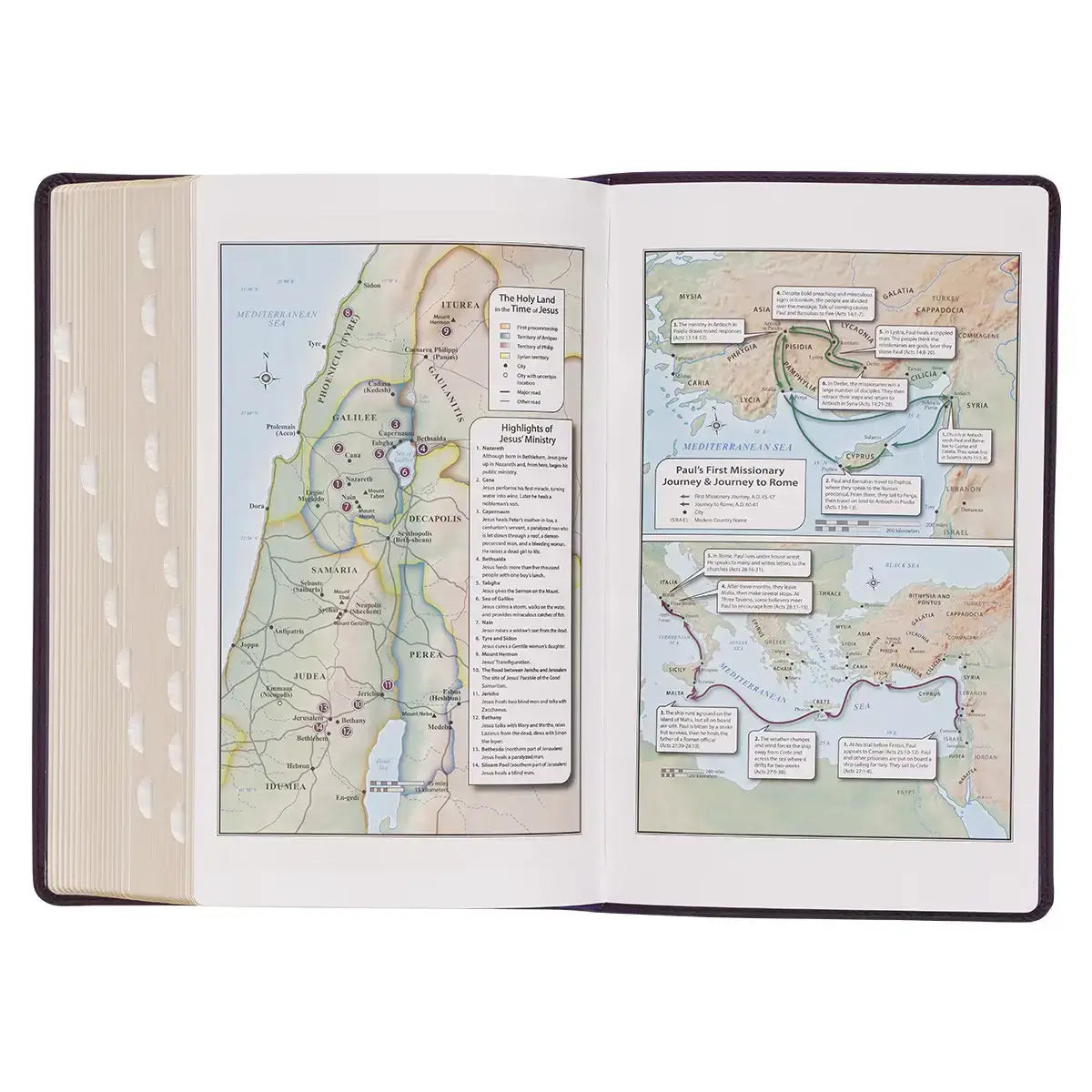 Purple Floral Faux Leather Giant Print Standard-Size King James Version Bible with Thumb Index