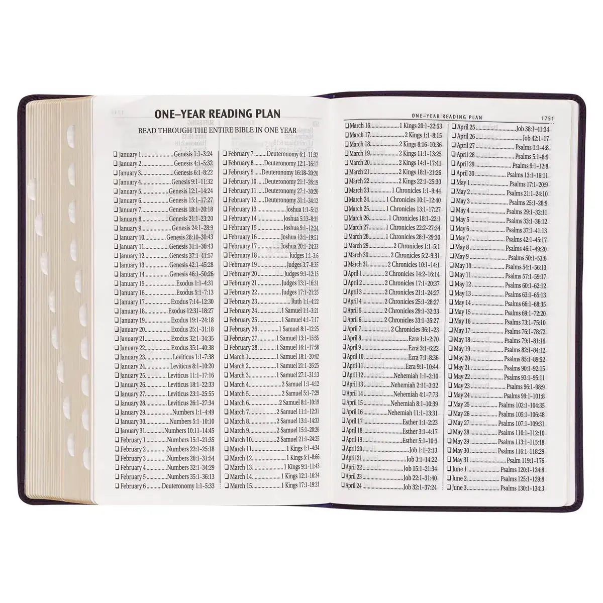 Purple Floral Faux Leather Giant Print Standard-Size King James Version Bible with Thumb Index