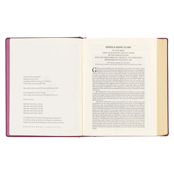 Red Plum Faux Leather Hardcover Large Print King James Version Note-taking Bible