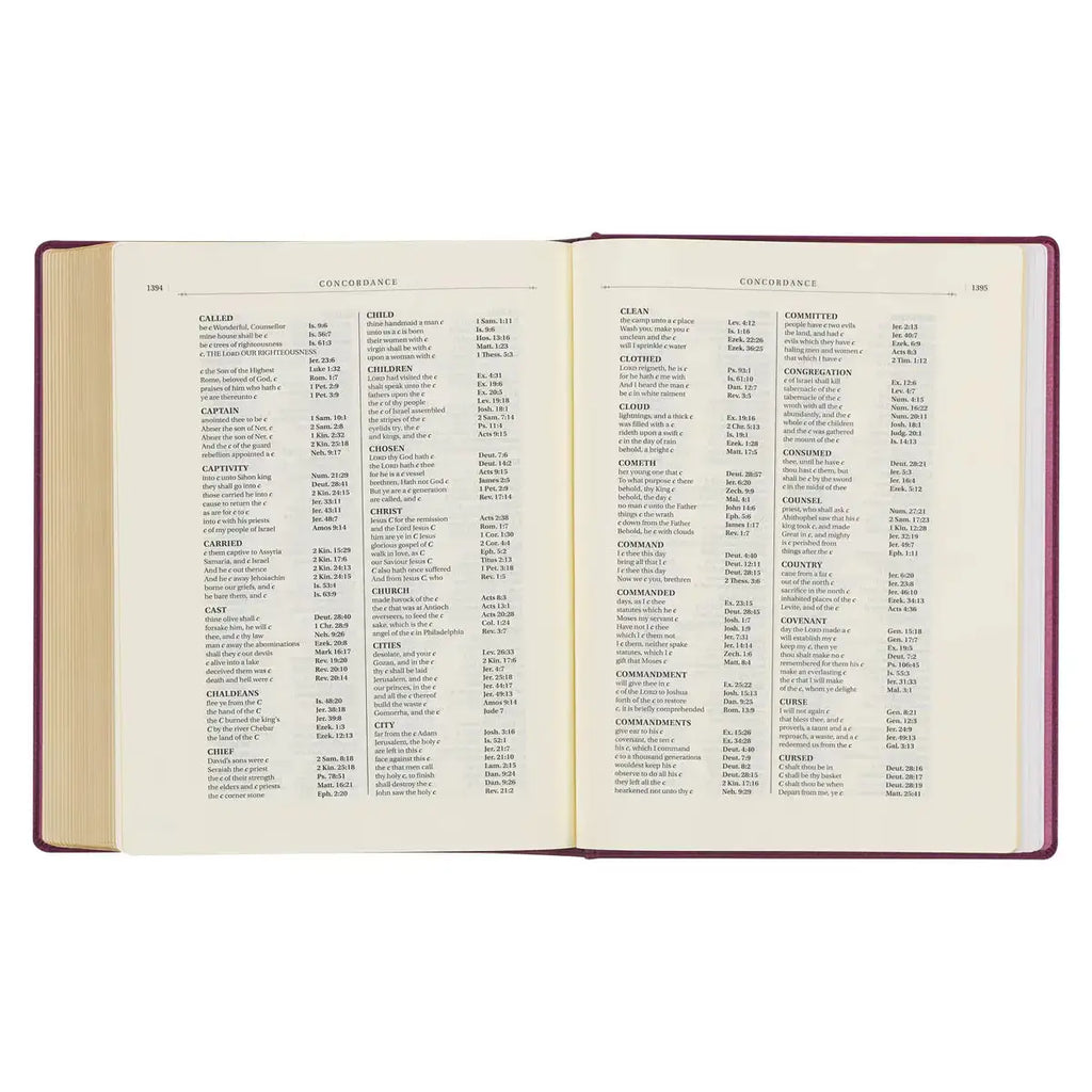Red Plum Faux Leather Hardcover Large Print King James Version Note-taking Bible